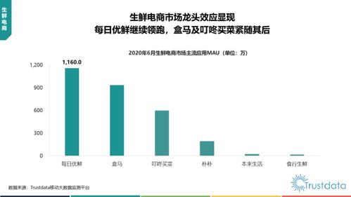 2020年上半年中国移动互联网行业发展分析报告